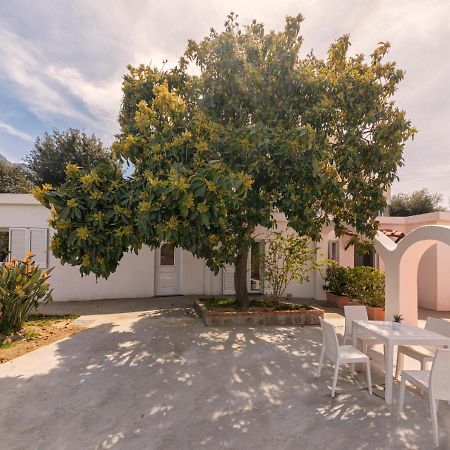 Willa Casa Yucca Forio di Ischia Zewnętrze zdjęcie