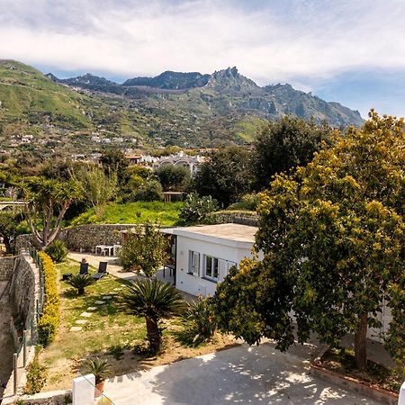 Willa Casa Yucca Forio di Ischia Zewnętrze zdjęcie