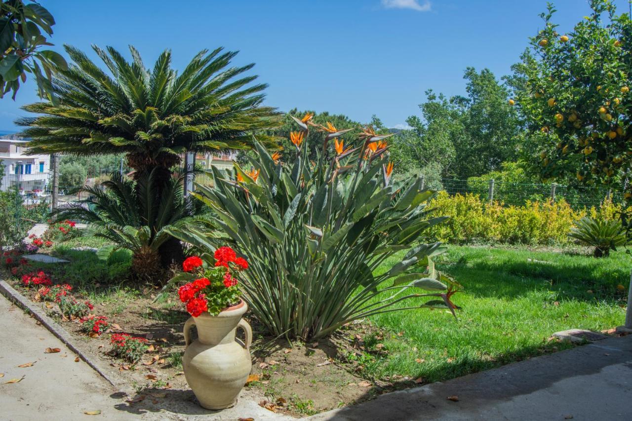 Willa Casa Yucca Forio di Ischia Zewnętrze zdjęcie