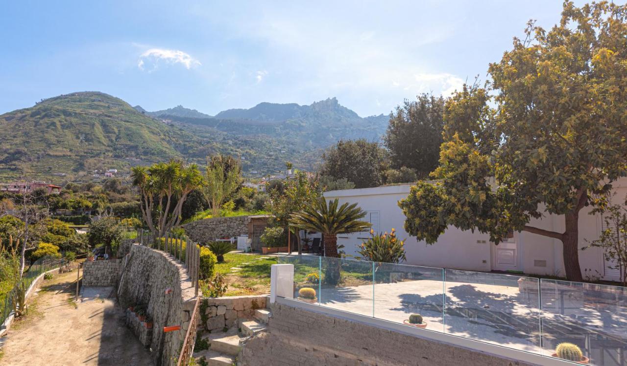 Willa Casa Yucca Forio di Ischia Zewnętrze zdjęcie