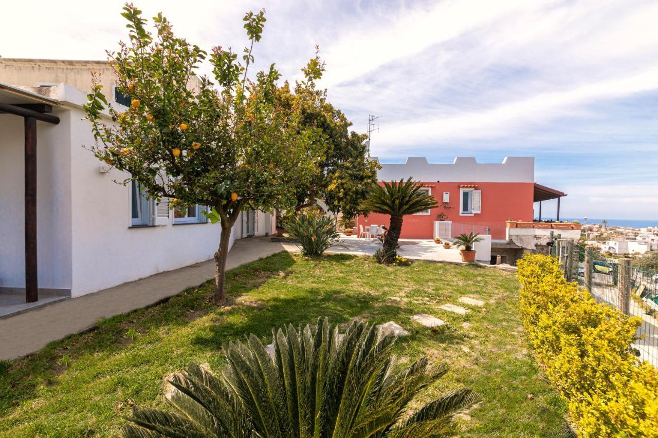 Willa Casa Yucca Forio di Ischia Zewnętrze zdjęcie