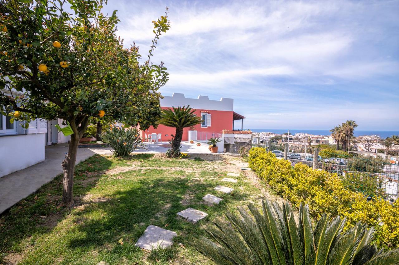 Willa Casa Yucca Forio di Ischia Zewnętrze zdjęcie