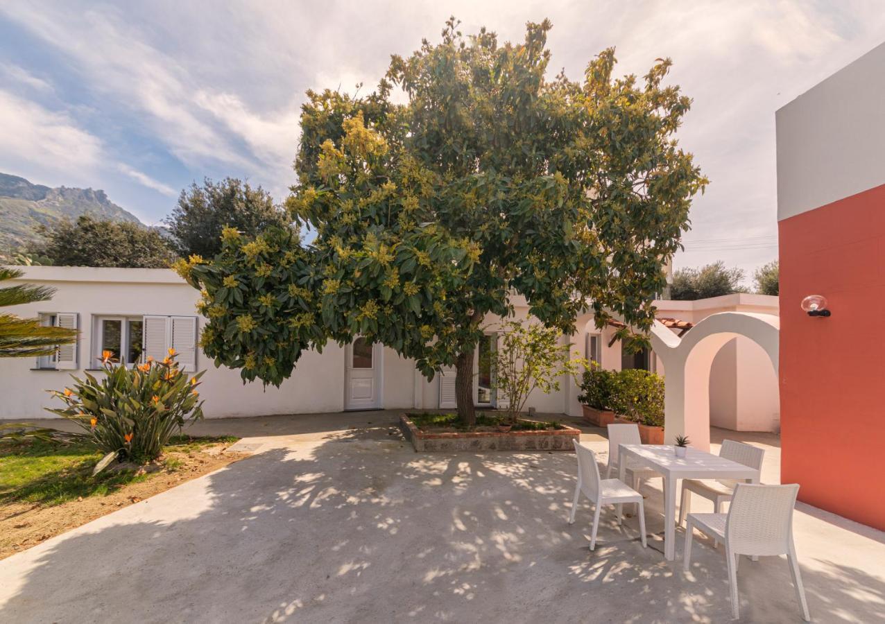 Willa Casa Yucca Forio di Ischia Zewnętrze zdjęcie