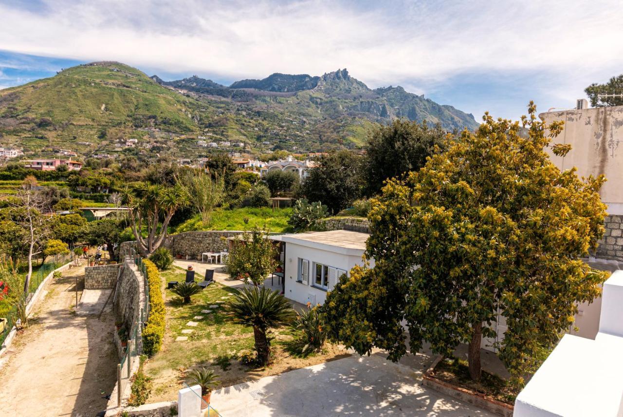 Willa Casa Yucca Forio di Ischia Zewnętrze zdjęcie